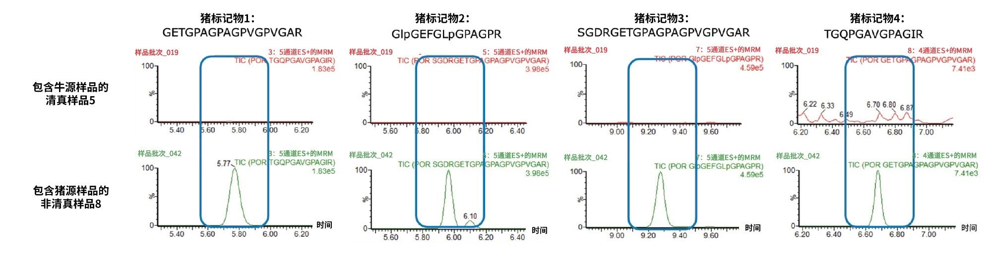 使用Andrew+移液机器人制备的清真标记和非清真标记糖果样品分析所得的四个猪肽段标记的MRM色谱图比较