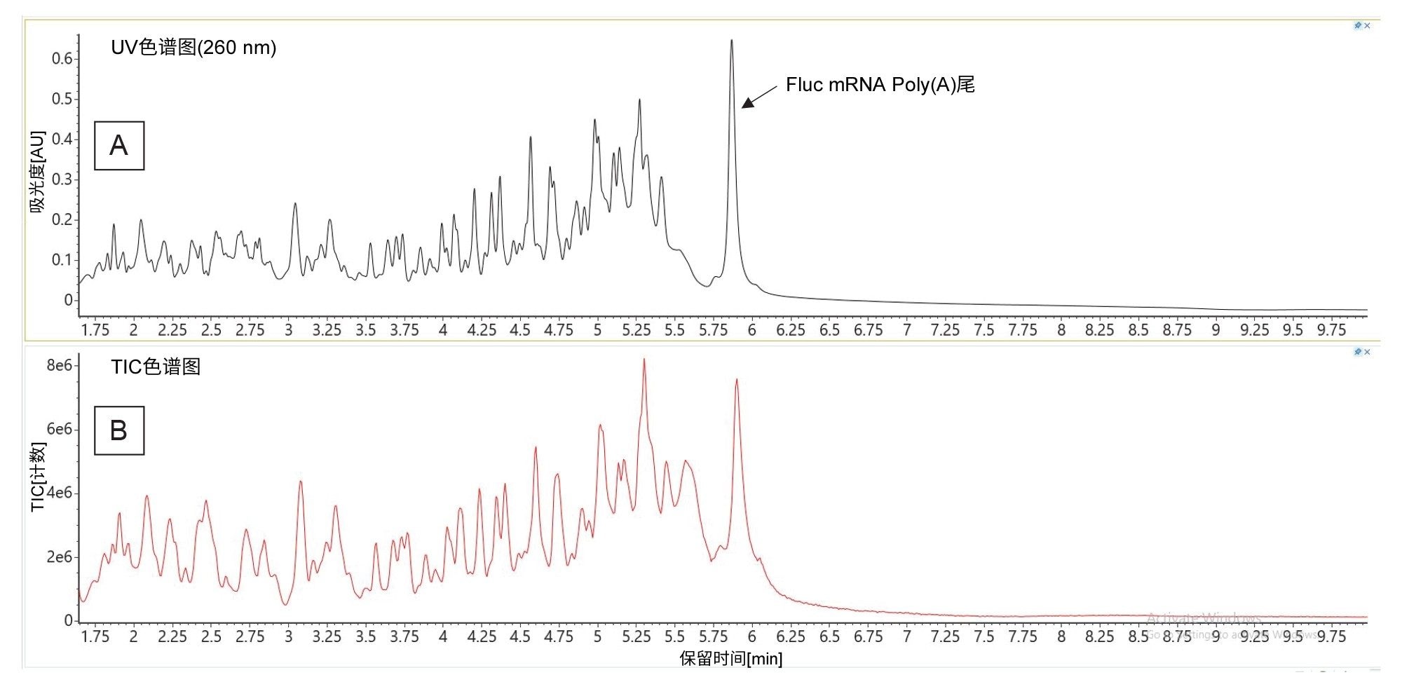 RNase T1酶解的Fluc mRNA的分离结果：(A)在260 nm处记录的UV色谱图