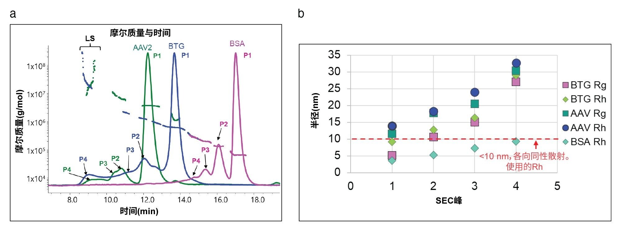 BSA的SEC色谱图以及摩尔质量 - 时间数据