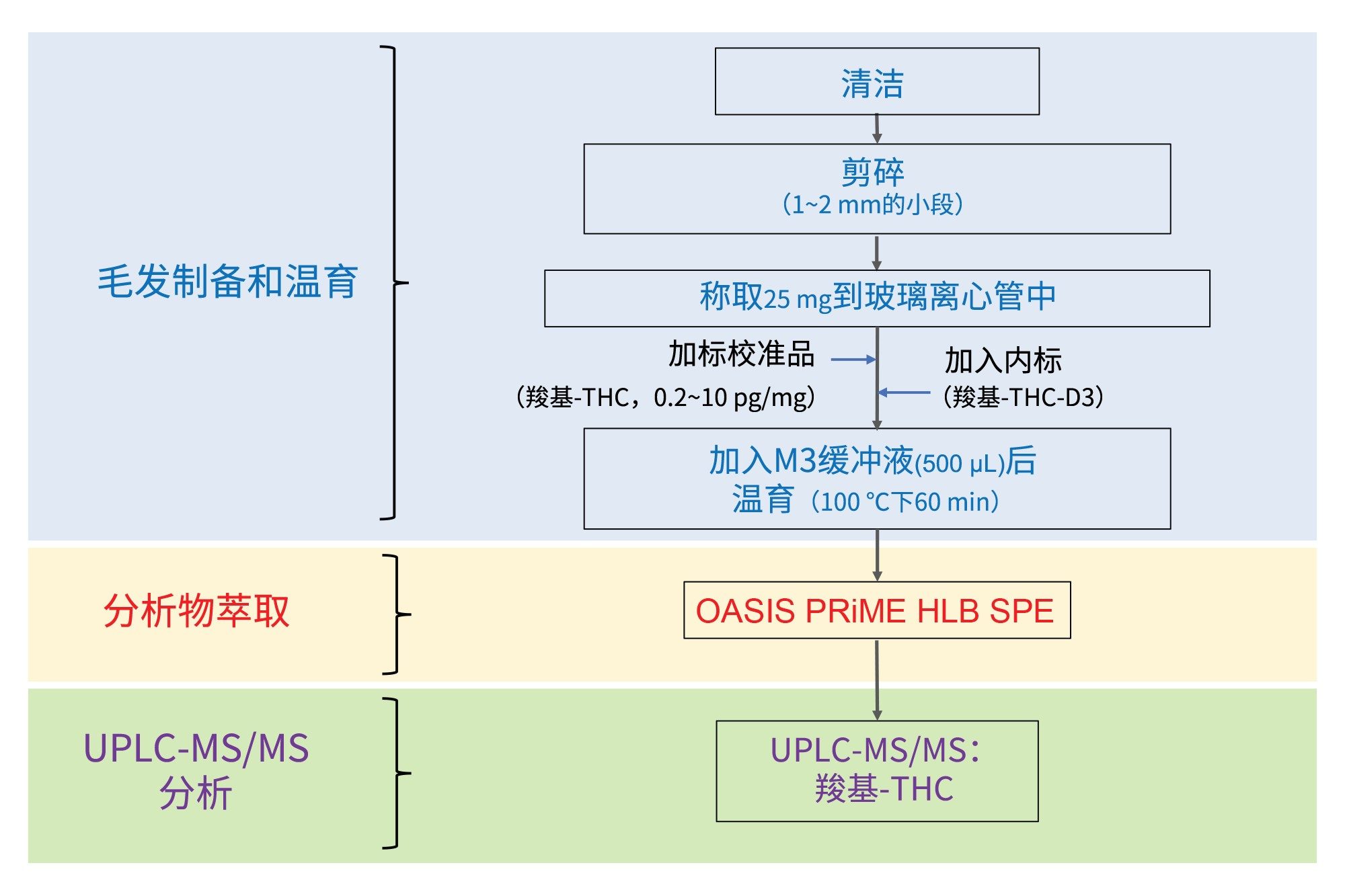 测定毛发中羧基-THC的工作流程