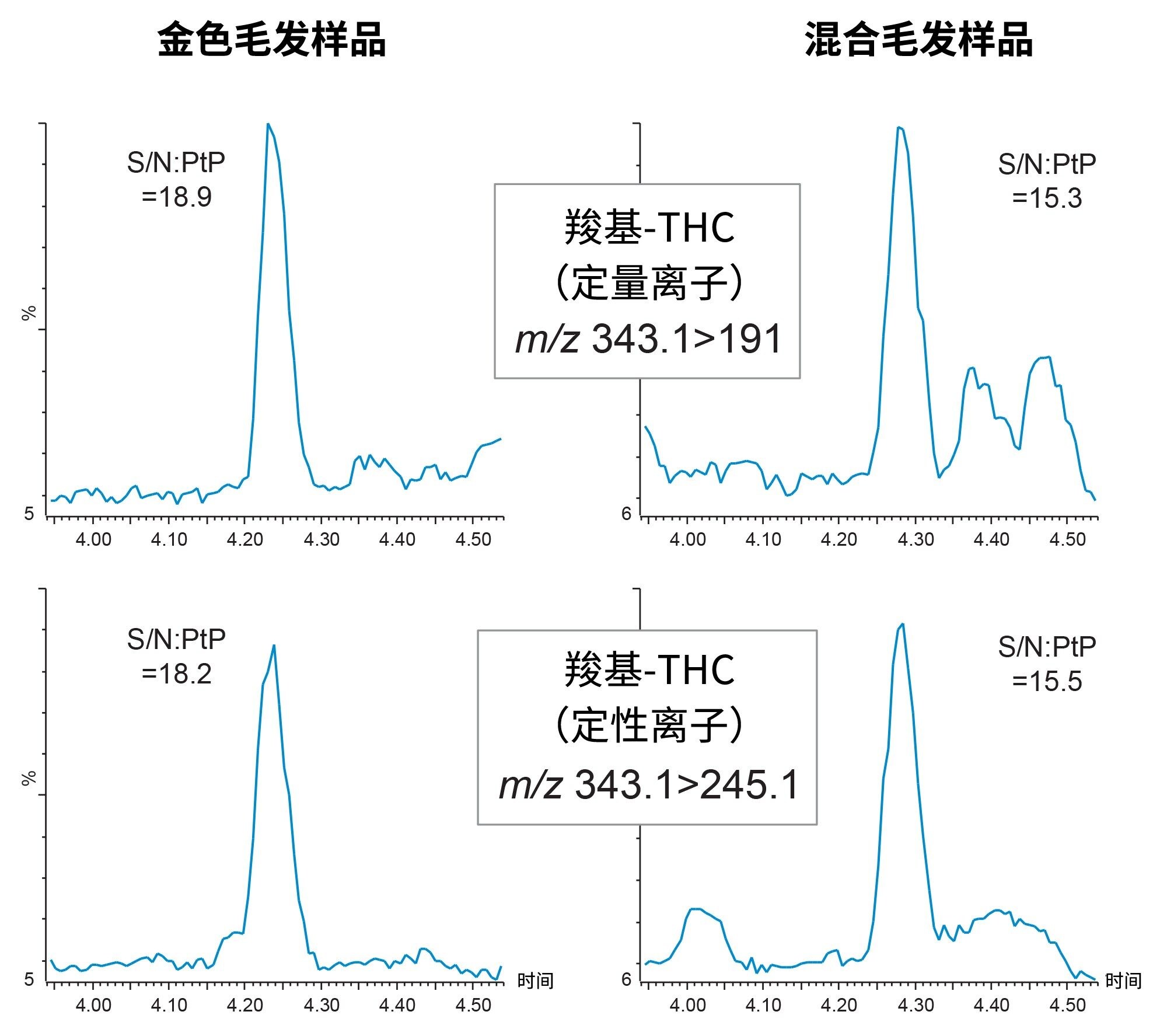 未经平滑处理的原始色谱图，显示了0.2 pg/mg加标毛发样品（金色毛发和混合毛发）定量离子（上方迹线）和定性离子（下方迹线）MRM通道的信噪比计算值