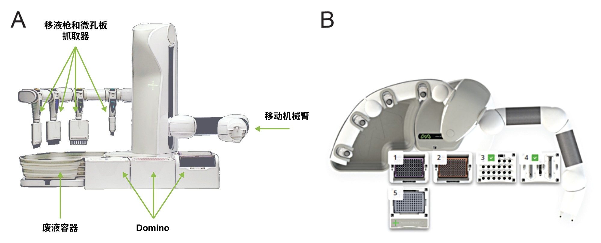 为LNP方案定位的Domino俯视图