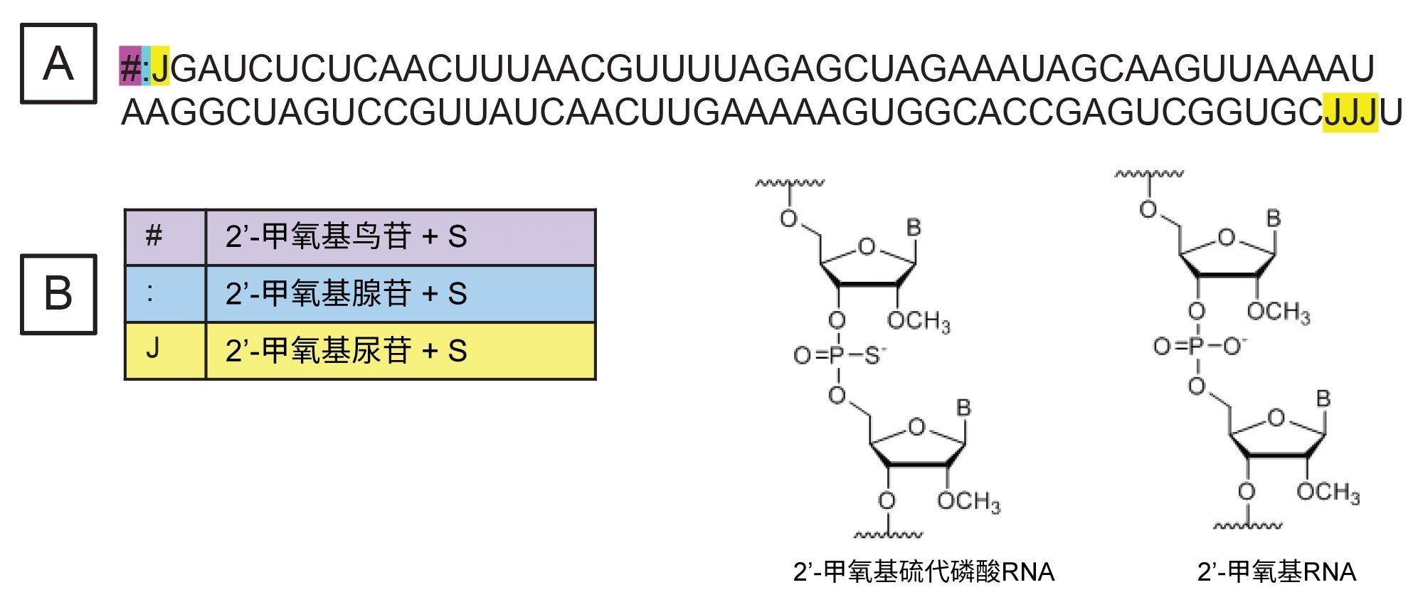 待分析sgRNA的序列